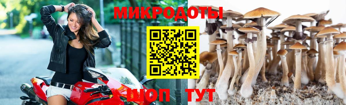 Псилоцибиновые грибы GOLDEN TEACHER  Вход с VPN  Красноперекопск  Галлюциногенные грибы мухоморы 